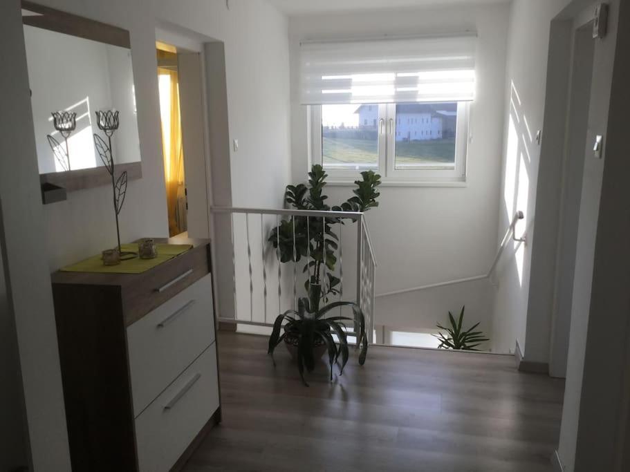 Villa Haus Im Gruenen Bad Zell Esterno foto